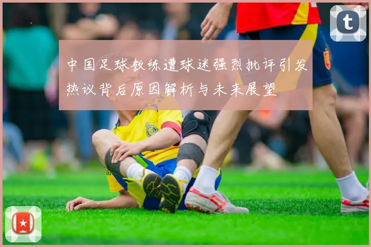 中国足球教练遭球迷强烈批评引发热议背后原因解析与未来展望