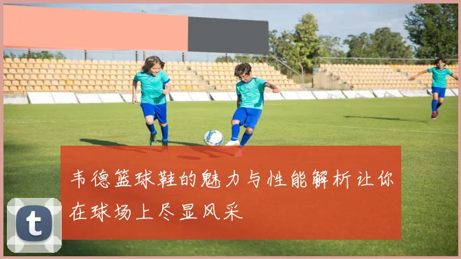 韦德篮球鞋的魅力与性能解析让你在球场上尽显风采