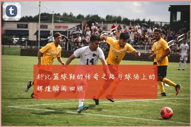 科比篮球鞋的传奇之路与球场上的辉煌瞬间回顾