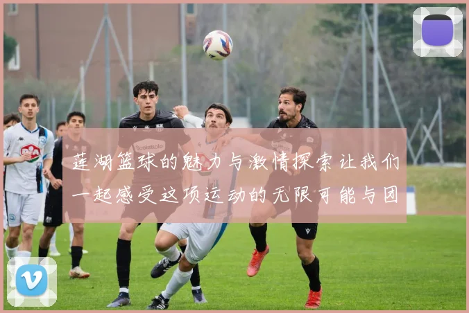 莲湖篮球的魅力与激情探索让我们一起感受这项运动的无限可能与团队精神