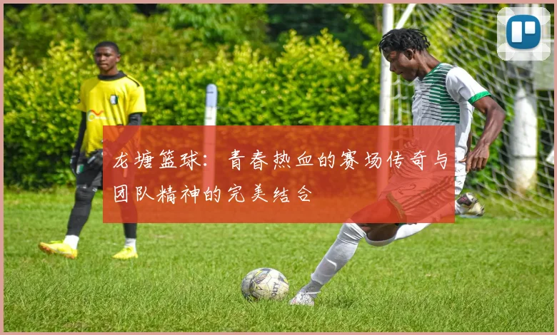 龙塘篮球：青春热血的赛场传奇与团队精神的完美结合