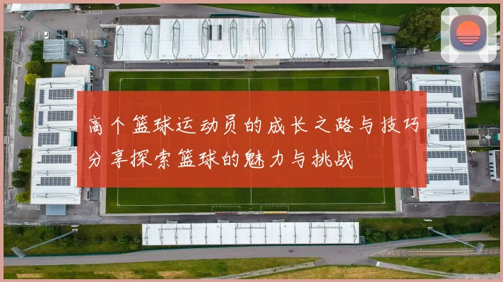 高个篮球运动员的成长之路与技巧分享探索篮球的魅力与挑战