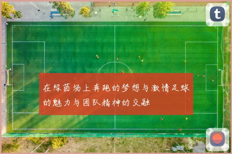 在绿茵场上奔跑的梦想与激情足球的魅力与团队精神的交融